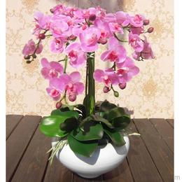 假花批發(fā)供應(yīng)與價格指南 源頭采購與機械設(shè)備應(yīng)用